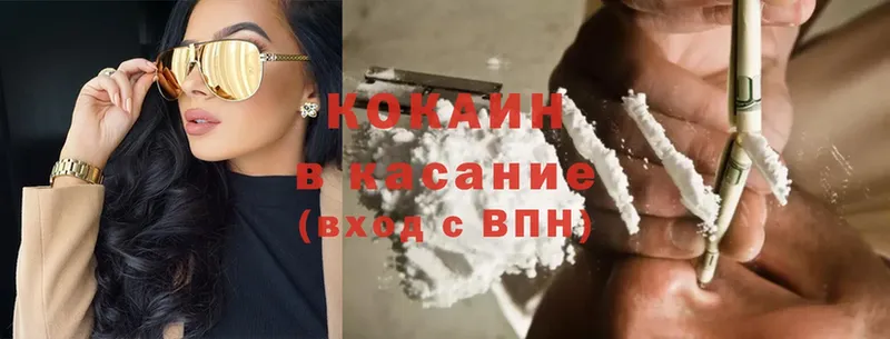 закладка  Кондопога  COCAIN Fish Scale 